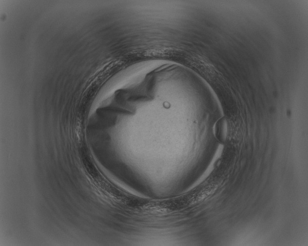 X0000062610648200601111009