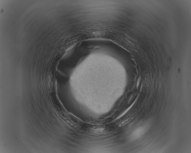 X0000062610651200601111009