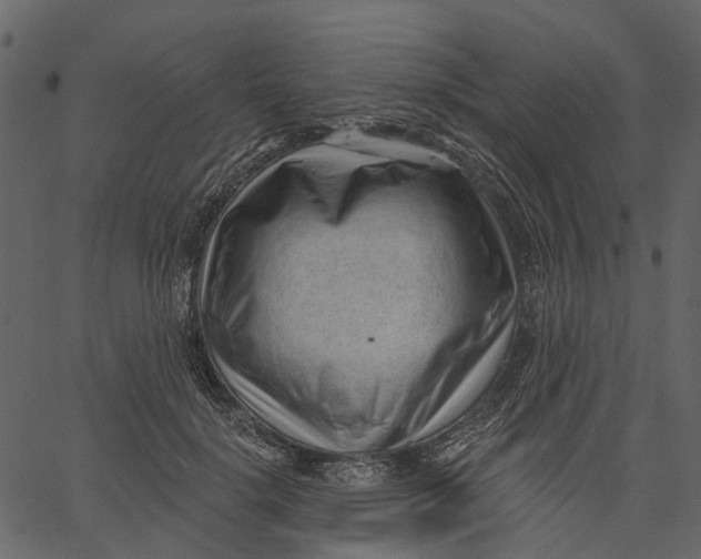 X0000062610652200601111009