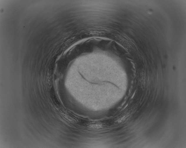 X0000062610653200601111009