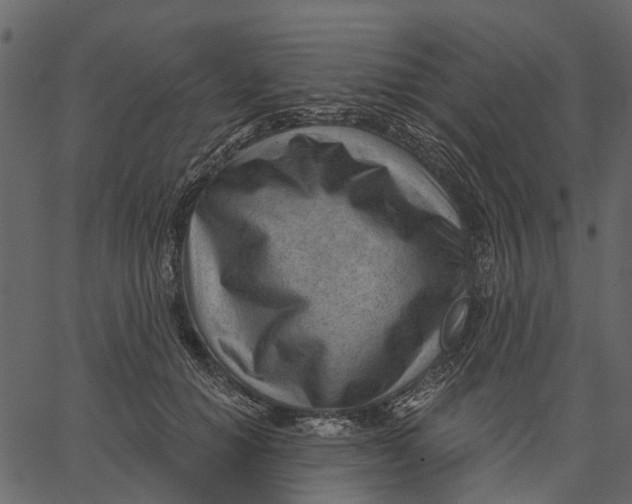 X0000062610654200601111010