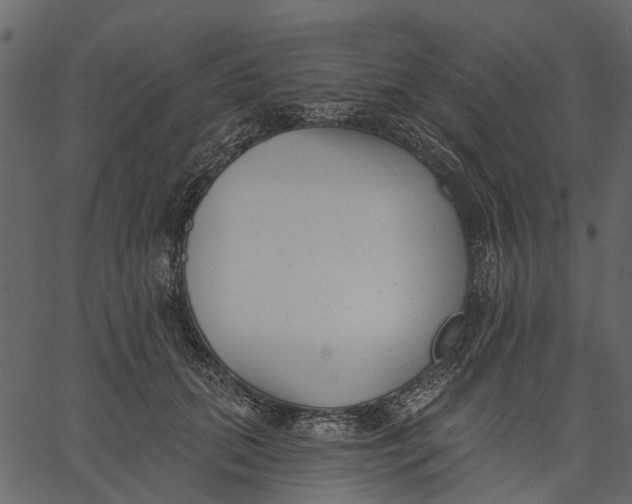 X0000062610655200601111010