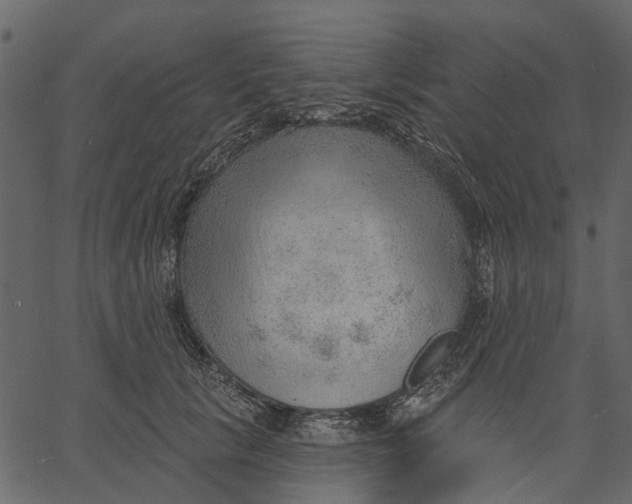 X0000062610657200601111010