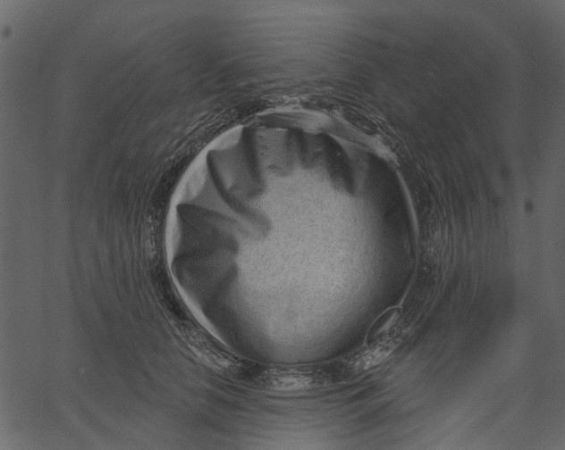 X0000062610658200601111010