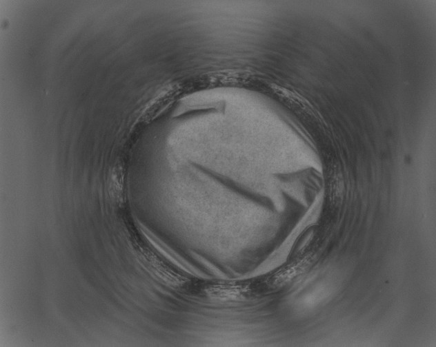 X0000062610661200601111010