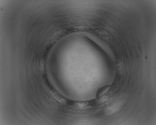 X0000062610662200601111010