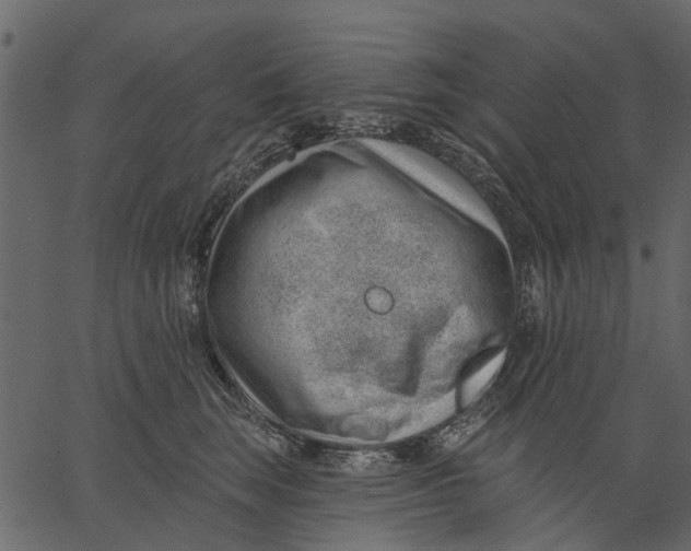 X0000062610663200601111010