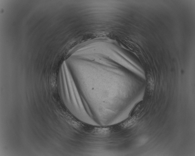 X0000062610665200601111010