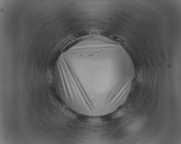 X0000062610666200601111010