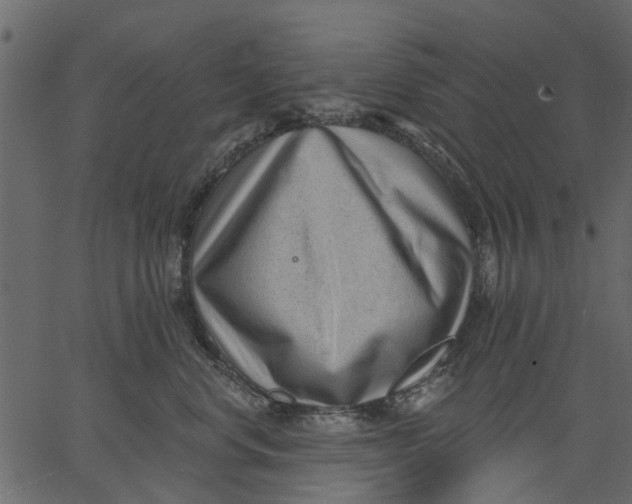 X0000062610668200601111010