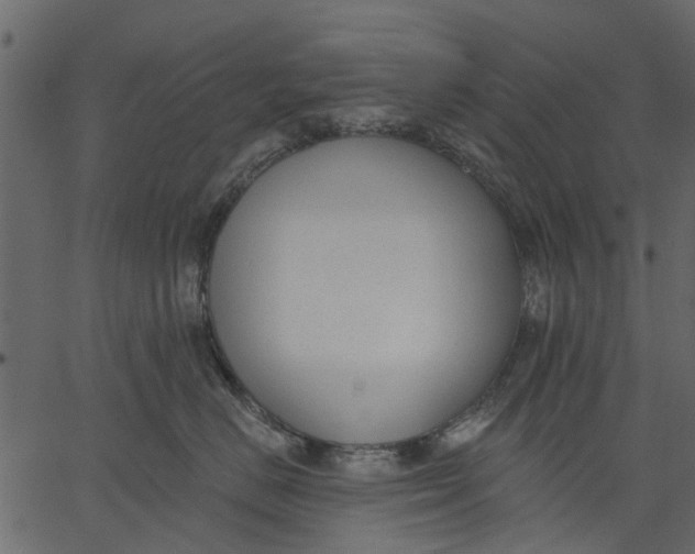 X0000062610670200601111010