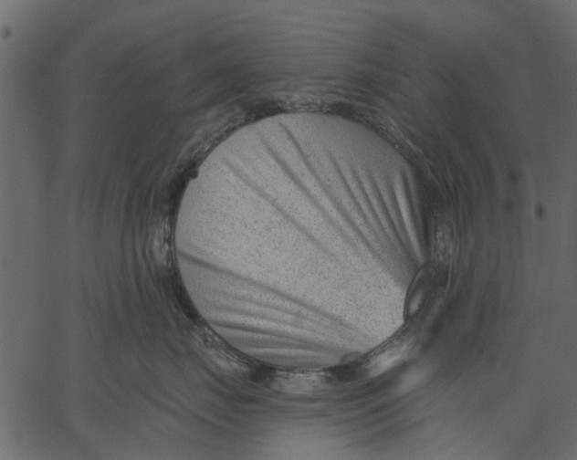 X0000062610671200601111010