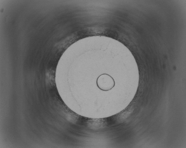 X0000062610672200601111010