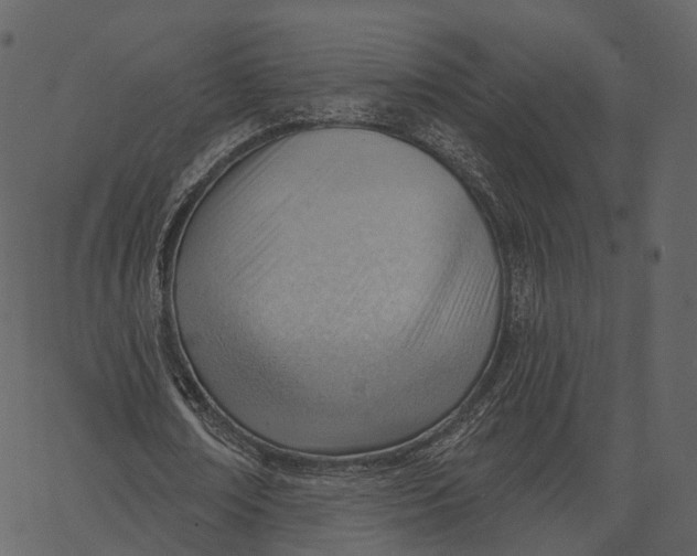 X0000062610674200601111009