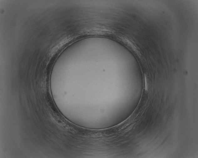 X0000062610675200601111009