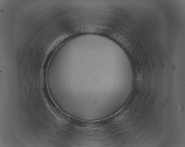 X0000062610678200601111009