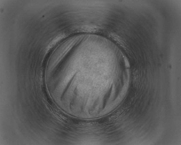 X0000062610679200601111009