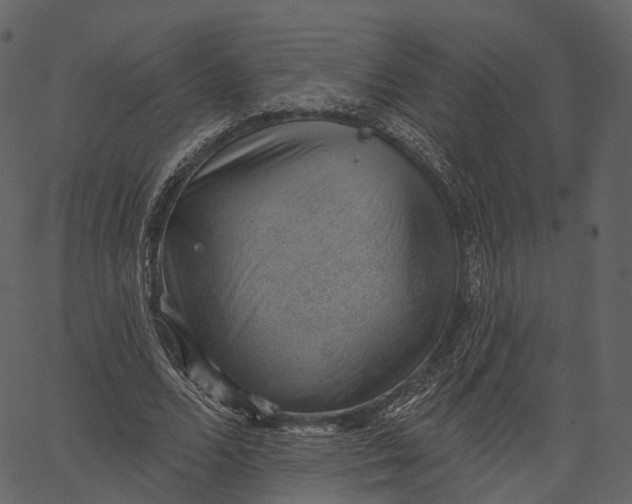 X0000062610680200601111009