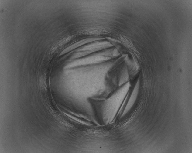 X0000062610681200601111009