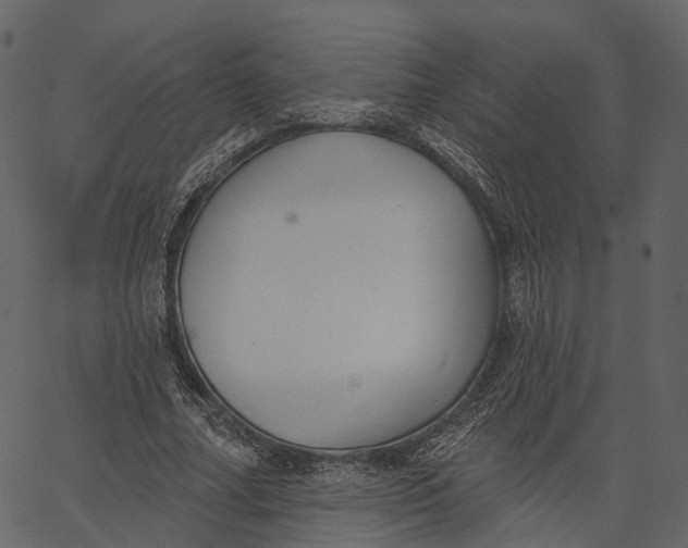 X0000062610682200601111009