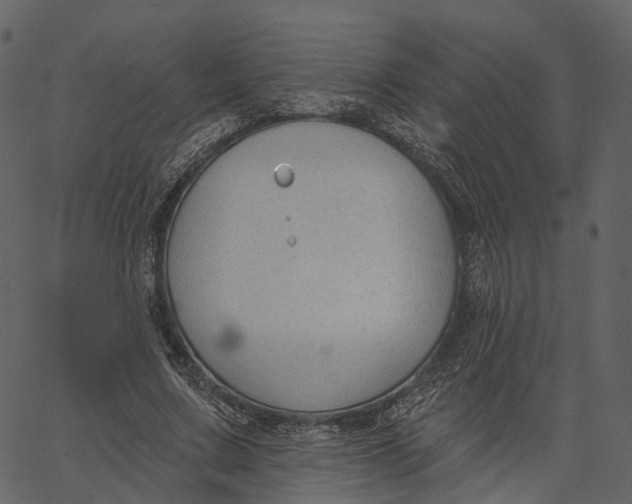 X0000062610683200601111009