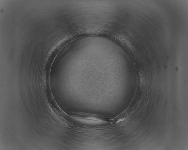 X0000062610684200601111009