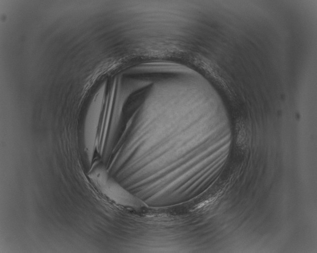 X0000062610685200601111009