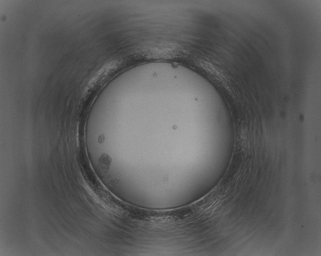 X0000062610686200601111009