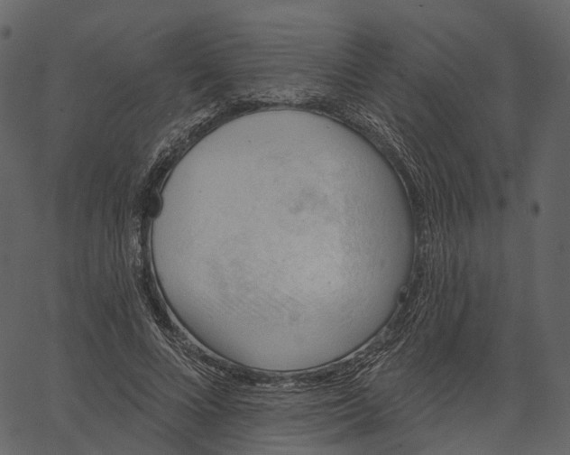 X0000062610688200601111009