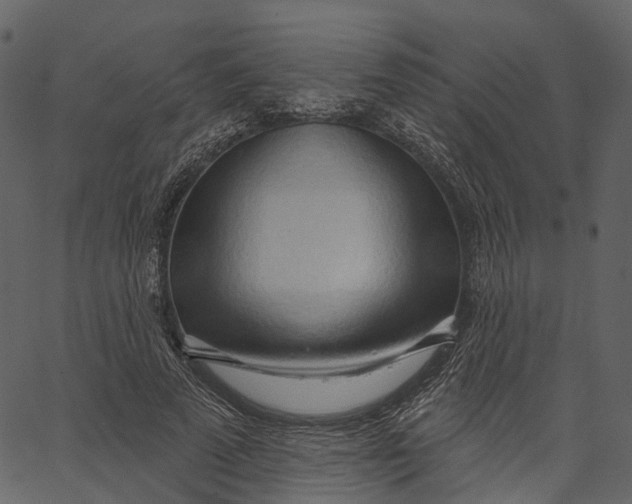 X0000062610689200601111009