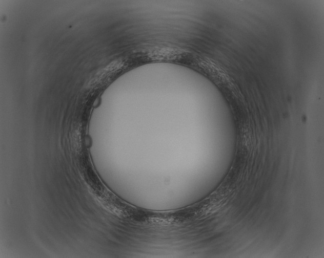 X0000062610690200601111009