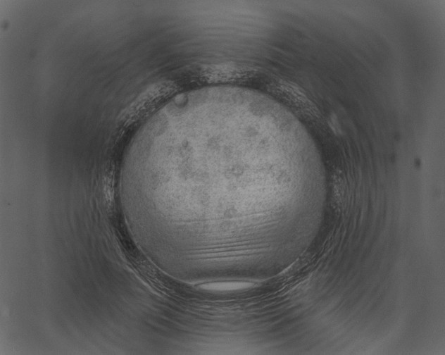 X0000062610691200601111009