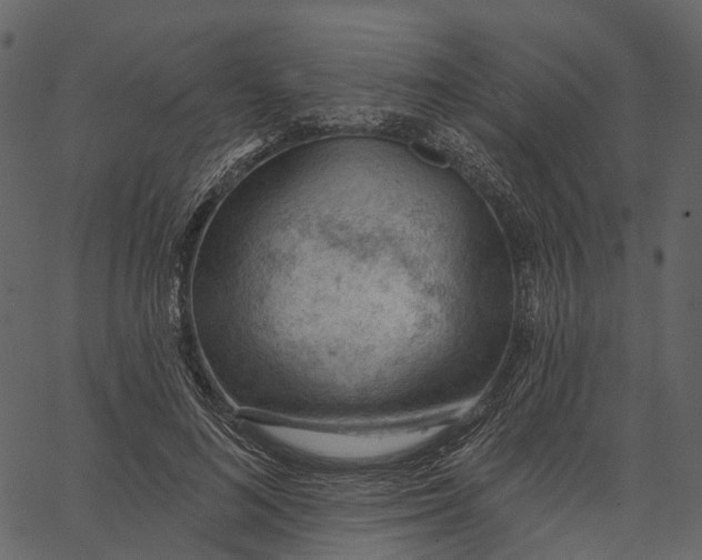 X0000062610692200601111009