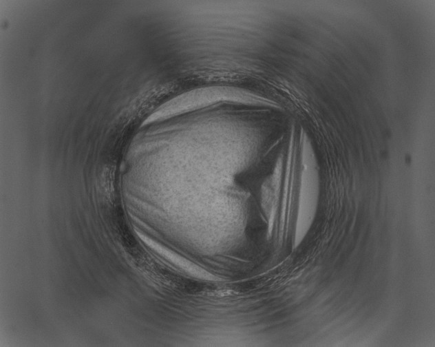 X0000062610695200601111009