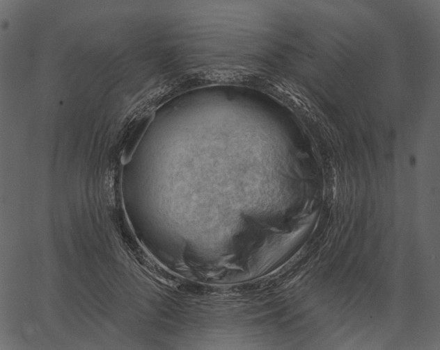 X0000062610696200601111009