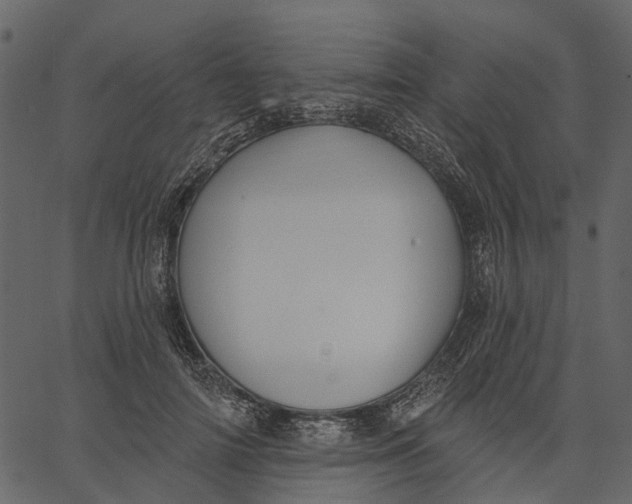 X0000062610698200601111009