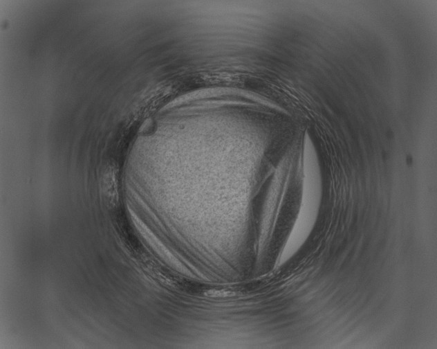 X0000062610699200601111009