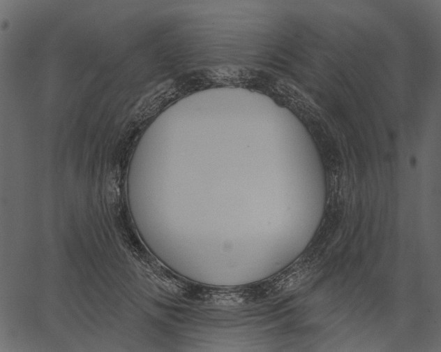 X0000062610702200601111009