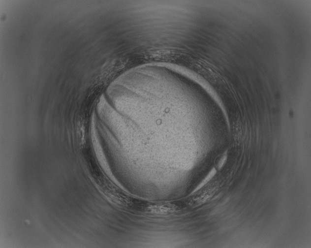 X0000062610703200601111009