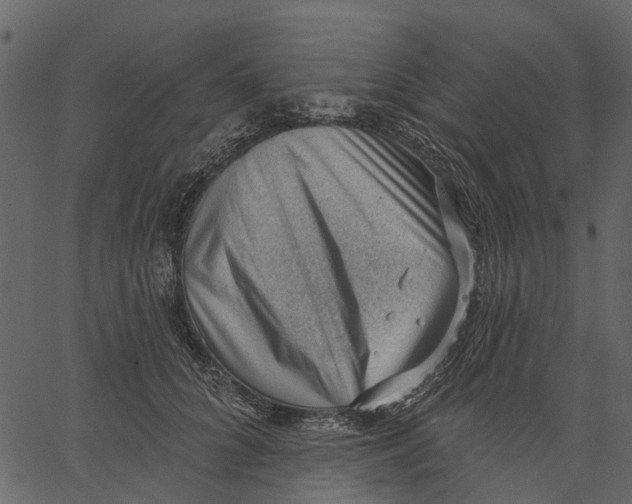 X0000062610704200601111009