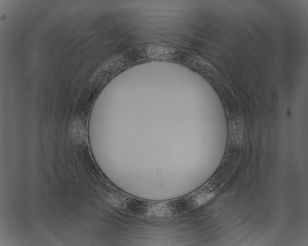 X0000062610705200601111008