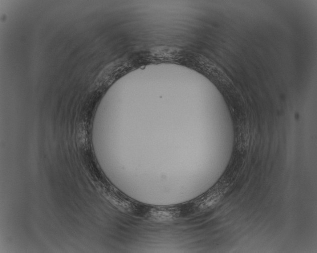 X0000062610706200601111008