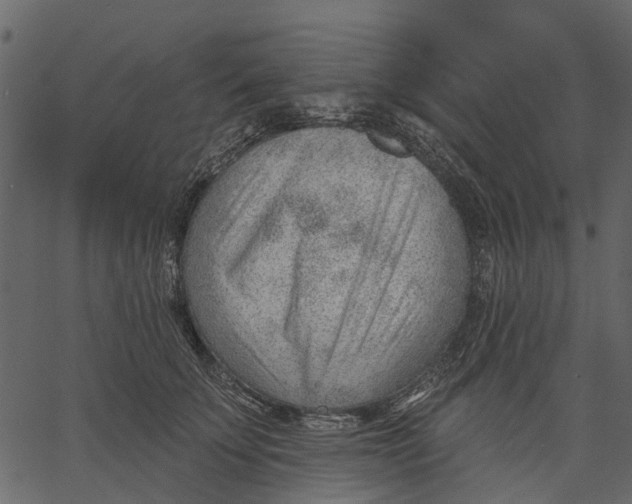 X0000062610707200601111008