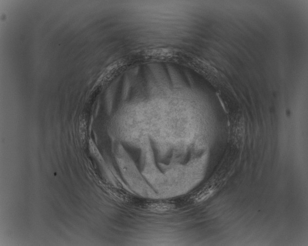 X0000062610708200601111008