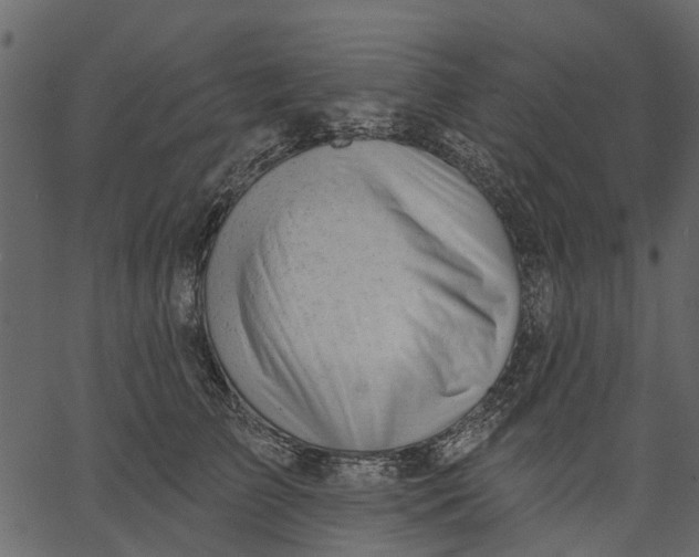 X0000062610709200601111008