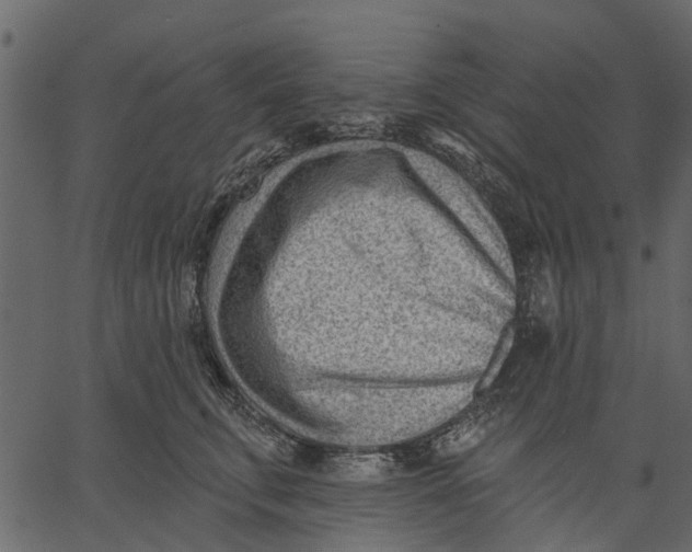 X0000062610711200601111008