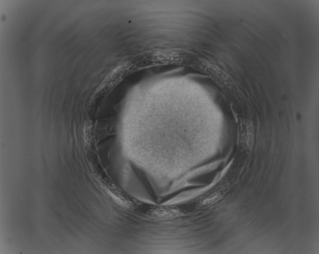 X0000062610712200601111008