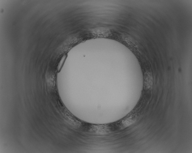 X0000062610713200601111008