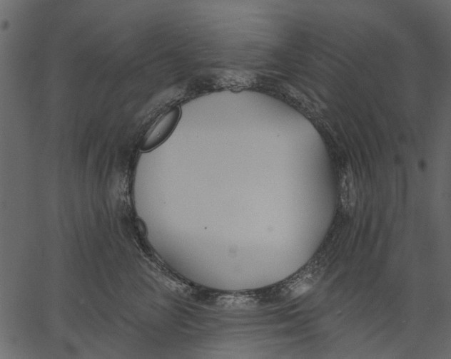 X0000062610714200601111008