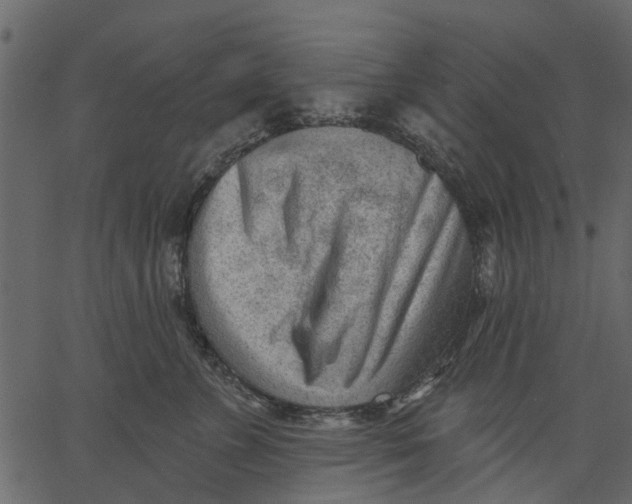 X0000062610715200601111008